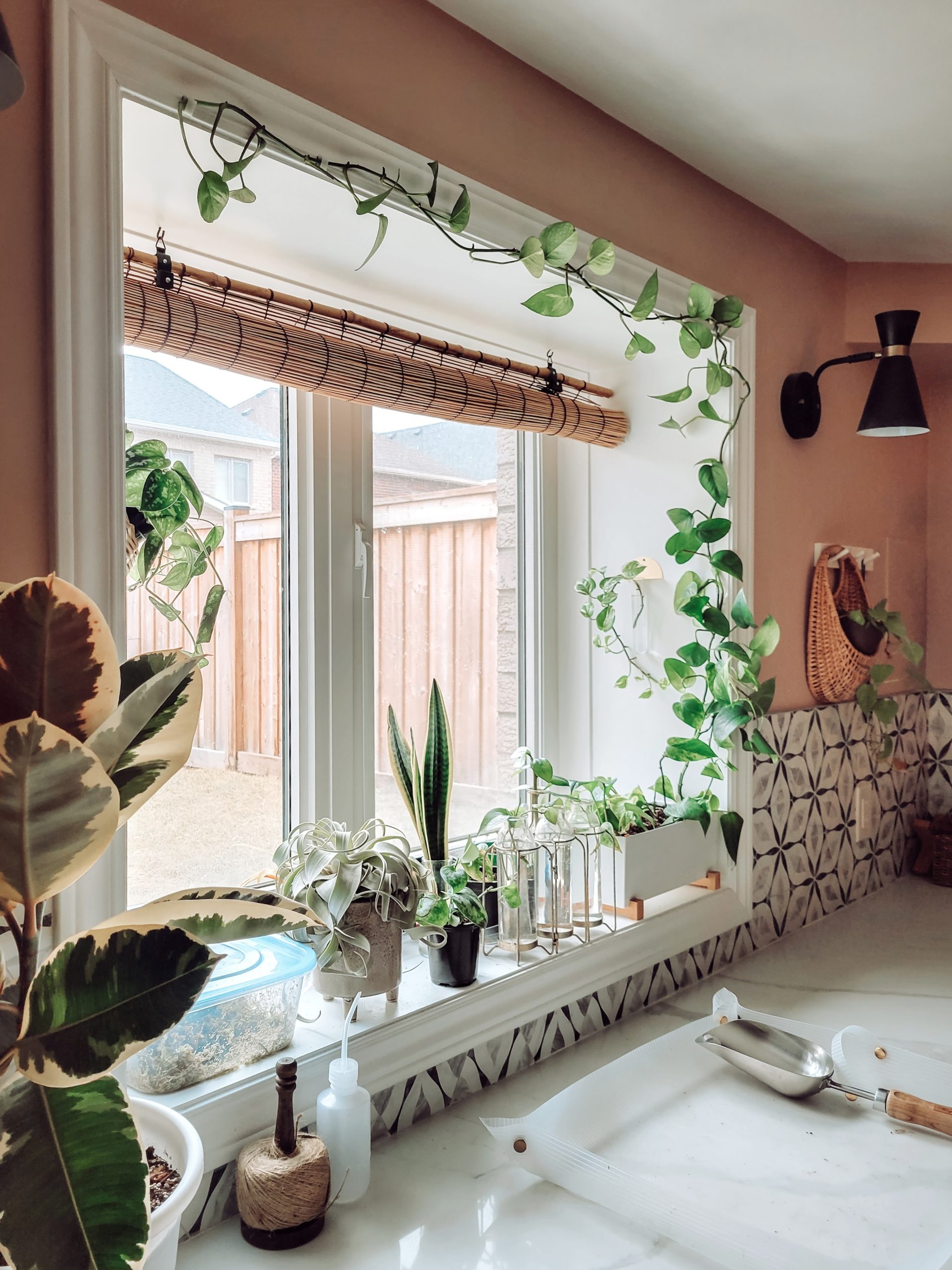 Virtual Plant Care Consultation